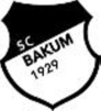 SC SW Bakum